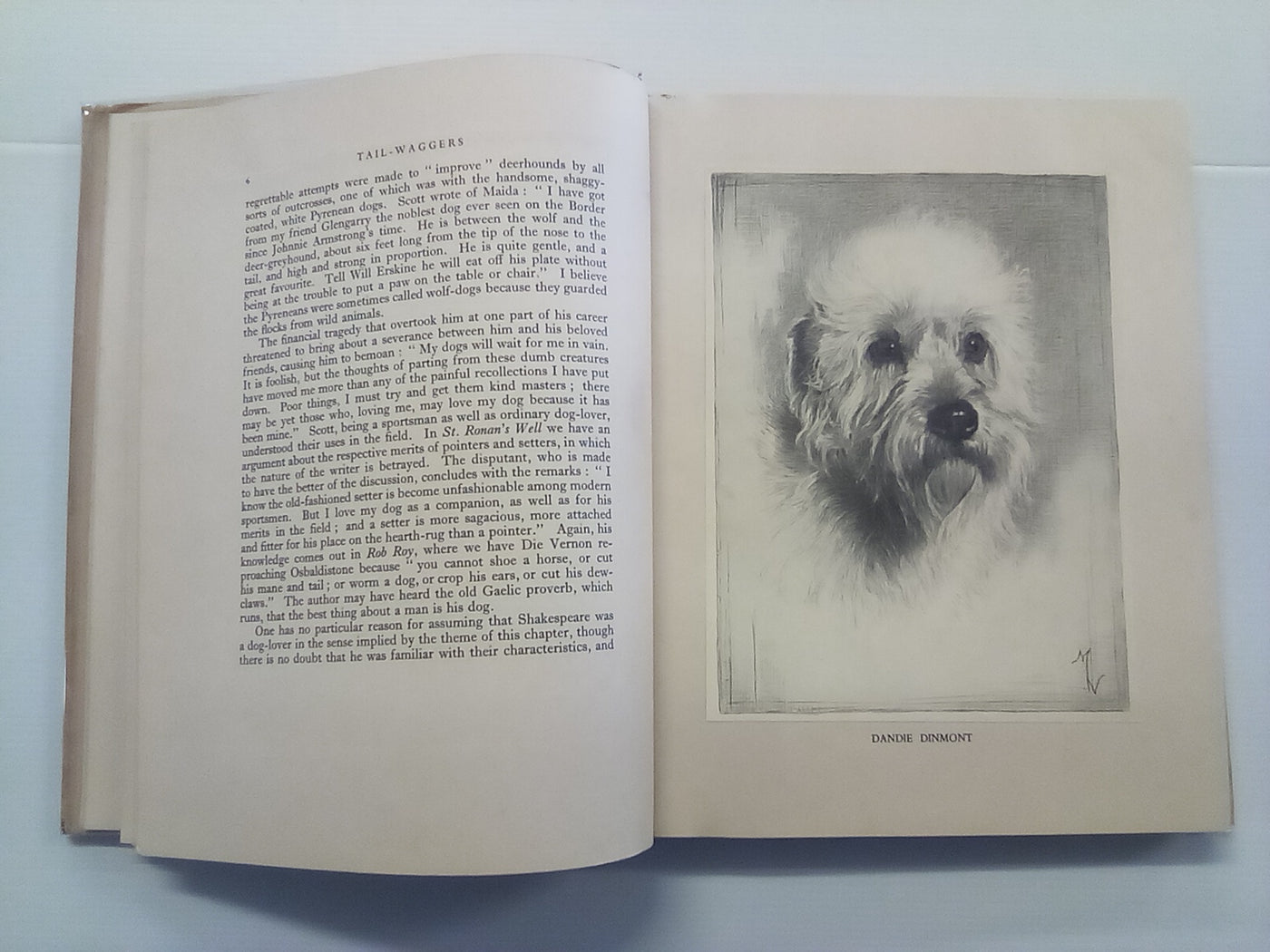 Tail-Waggers (1935 Art Edition) by A. Croxton-Smith