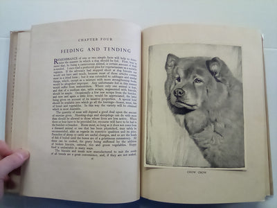 Tail-Waggers (1935 Art Edition) by A. Croxton-Smith