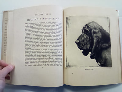 Tail-Waggers (1935 Art Edition) by A. Croxton-Smith