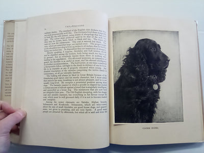 Tail-Waggers (1935 Art Edition) by A. Croxton-Smith