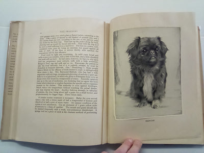 Tail-Waggers (1935 Art Edition) by A. Croxton-Smith