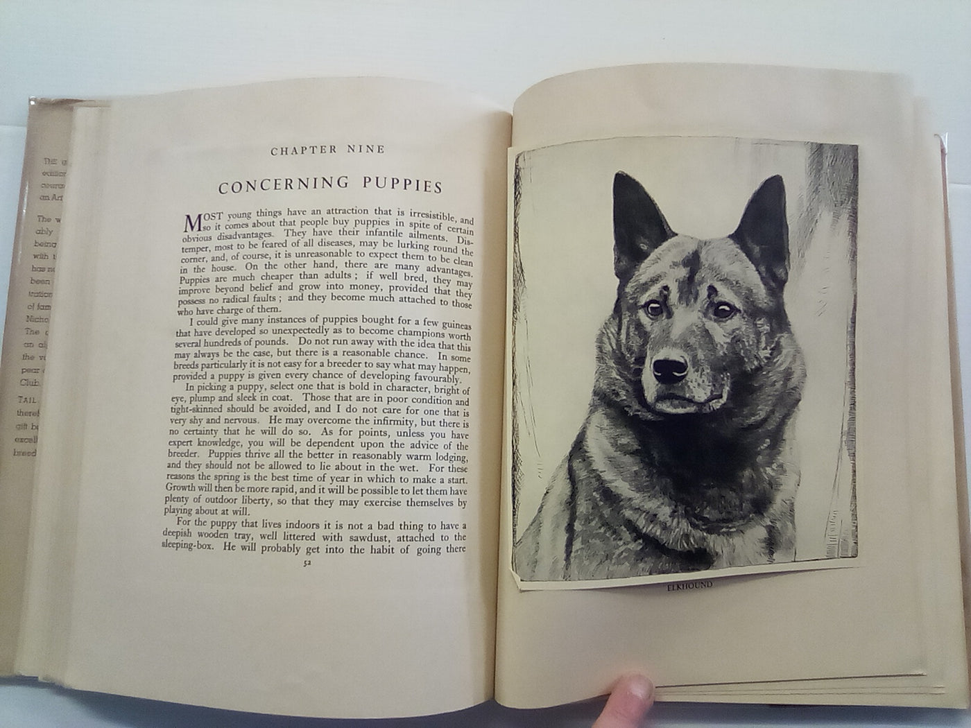 Tail-Waggers (1935 Art Edition) by A. Croxton-Smith