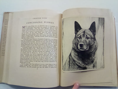 Tail-Waggers (1935 Art Edition) by A. Croxton-Smith