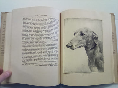 Tail-Waggers (1935 Art Edition) by A. Croxton-Smith