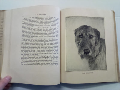 Tail-Waggers (1935 Art Edition) by A. Croxton-Smith