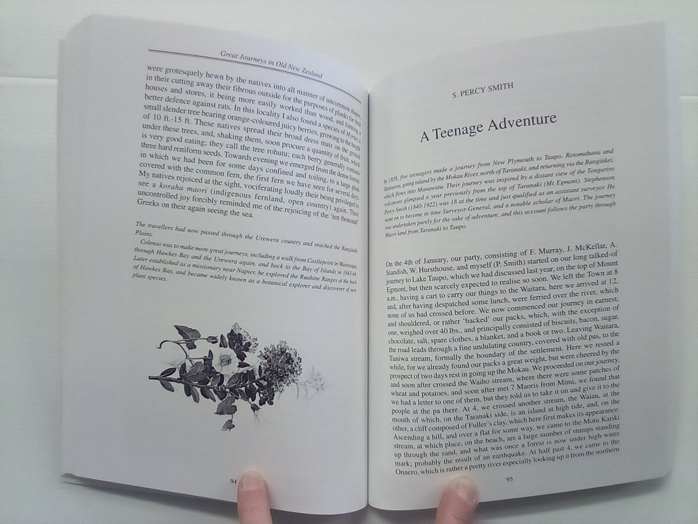 Great Journeys in Old New Zealand - Travel & Exploration in a New Land