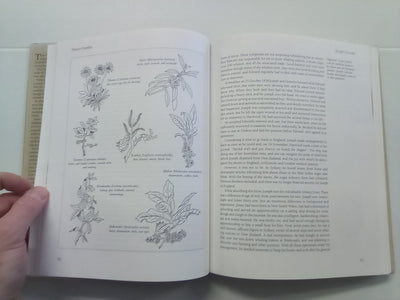 Pioneer Families - The Settlers of 19th Century NZ by Angela Caughey