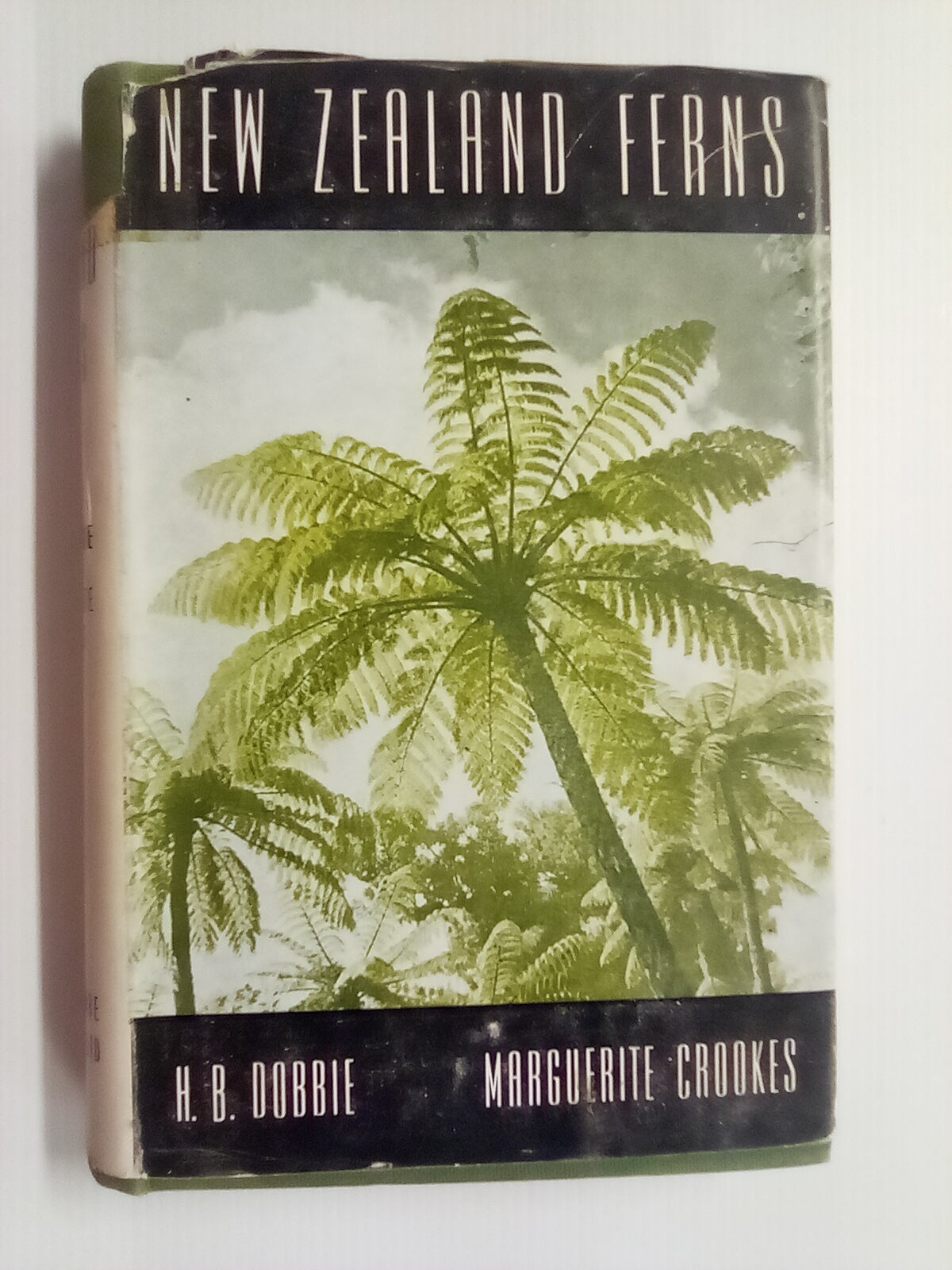 New Zealand Ferns by H.B. Dobbie and M. Crookes (4th. edition 1951)