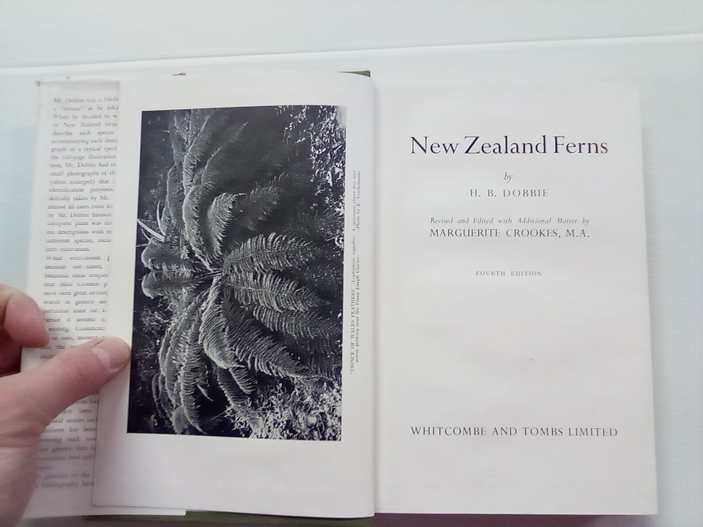 New Zealand Ferns by H.B. Dobbie and M. Crookes (4th. edition 1951)