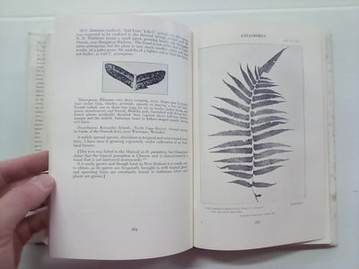 New Zealand Ferns by H.B. Dobbie and M. Crookes (4th. edition 1951)