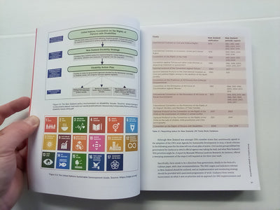 Social Policy Practice and Processes in New Zealand by Massey University Press