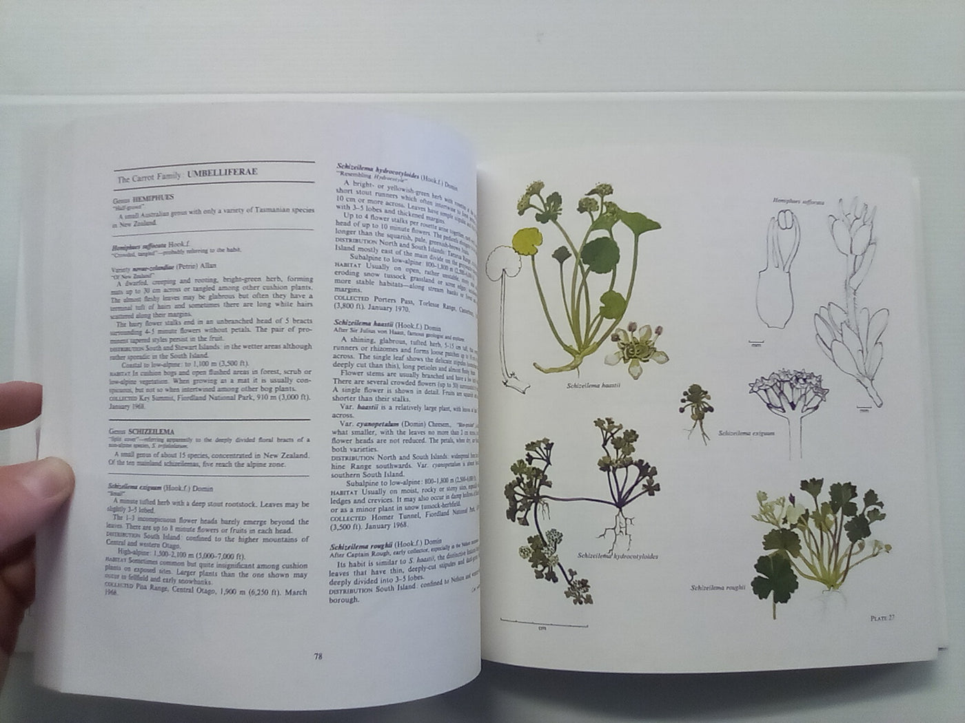 New Zealand Alpine Plants (1979) by A.F. Mark & N.M Adams