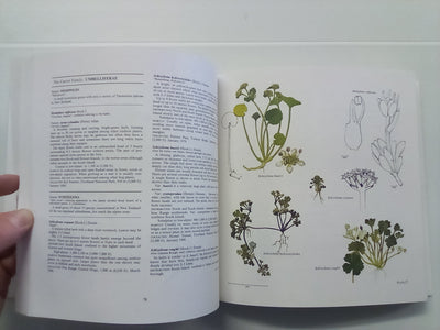 New Zealand Alpine Plants (1979) by A.F. Mark & N.M Adams