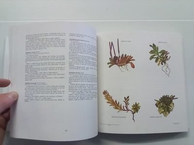 New Zealand Alpine Plants (1979) by A.F. Mark & N.M Adams
