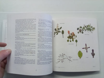 New Zealand Alpine Plants (1979) by A.F. Mark & N.M Adams