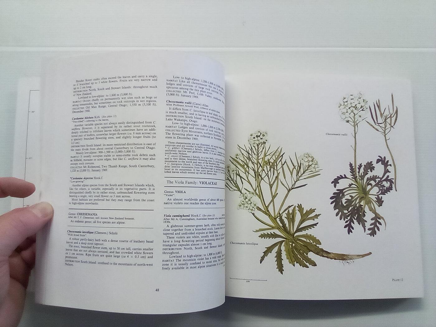 New Zealand Alpine Plants (1979) by A.F. Mark & N.M Adams