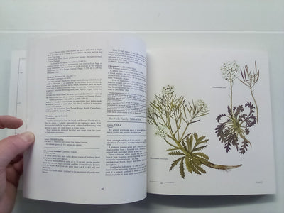 New Zealand Alpine Plants (1979) by A.F. Mark & N.M Adams