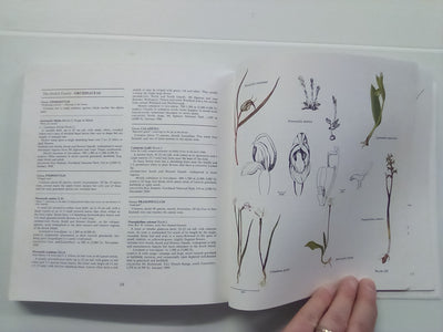 New Zealand Alpine Plants (1979) by A.F. Mark & N.M Adams