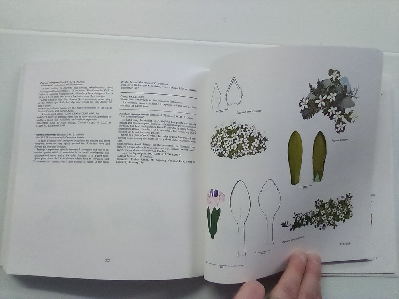 New Zealand Alpine Plants (1979) by A.F. Mark & N.M Adams