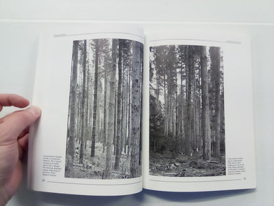 Pumice & Pines - The Story of Kaingaroa Forest by Joan Boyd