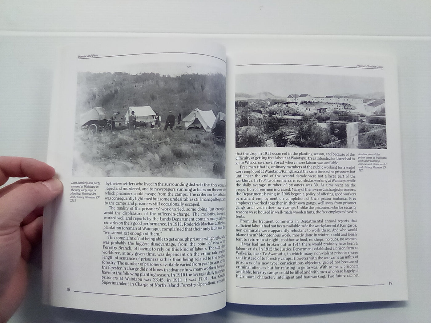 Pumice & Pines - The Story of Kaingaroa Forest by Joan Boyd