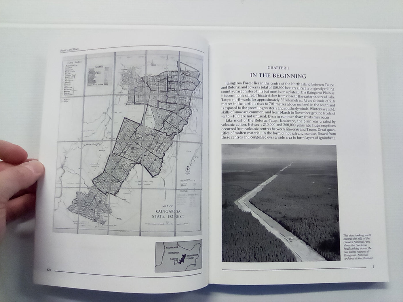 Pumice & Pines - The Story of Kaingaroa Forest by Joan Boyd