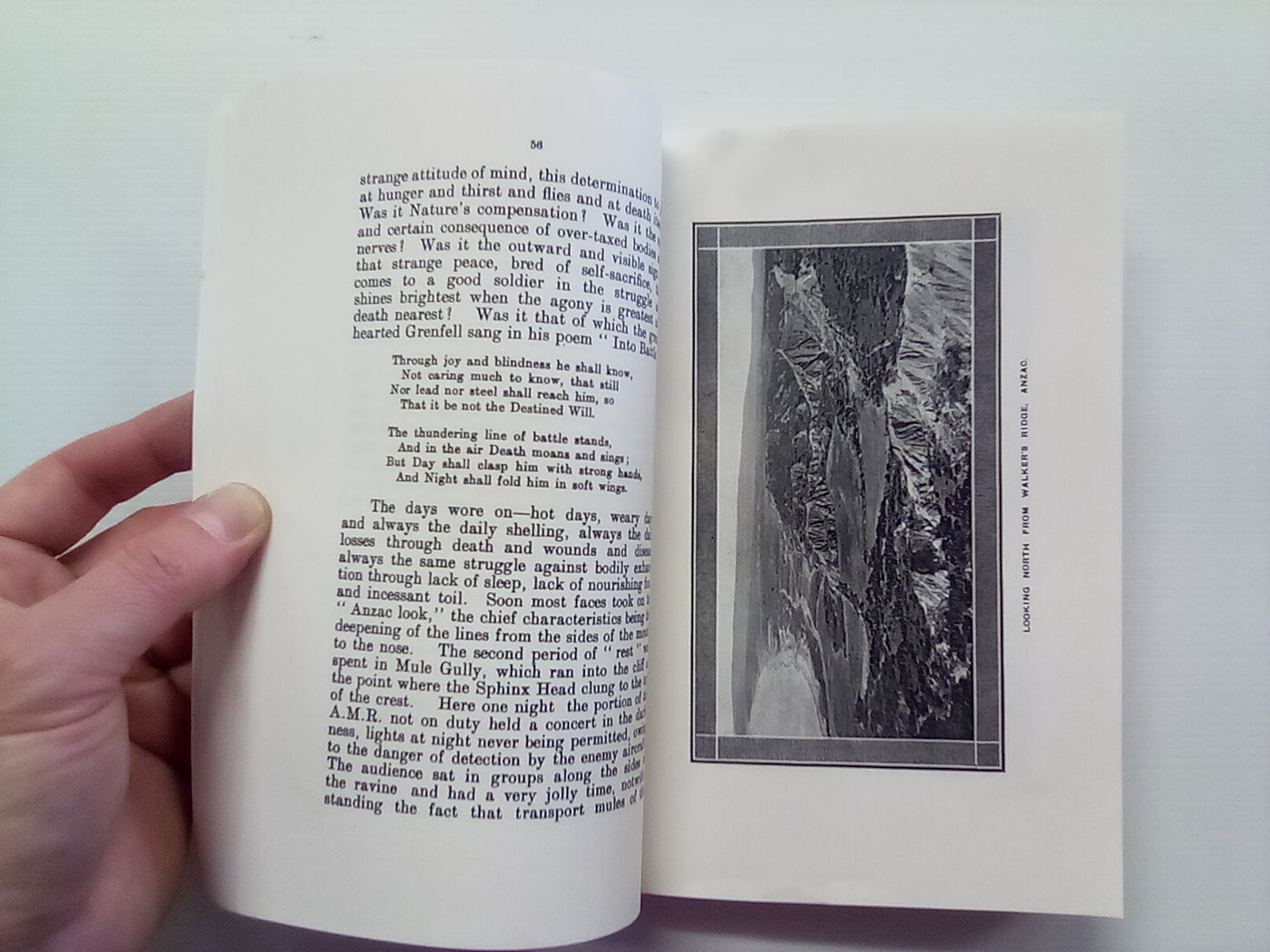 The Story of Two Campaigns - the Auckland Mounted Rifles 1914-1919