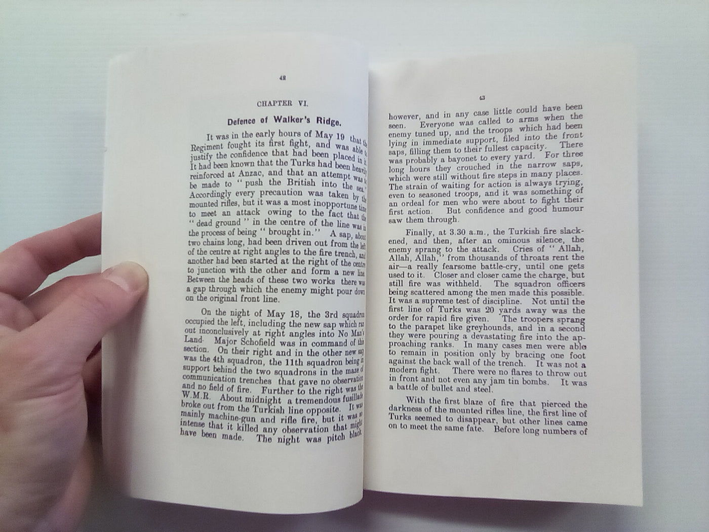 The Story of Two Campaigns - the Auckland Mounted Rifles 1914-1919