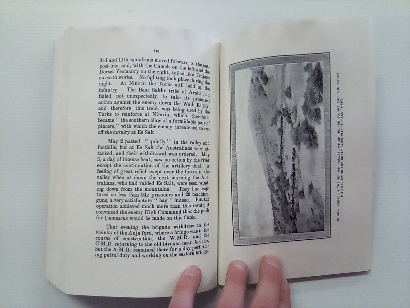 The Story of Two Campaigns - the Auckland Mounted Rifles 1914-1919