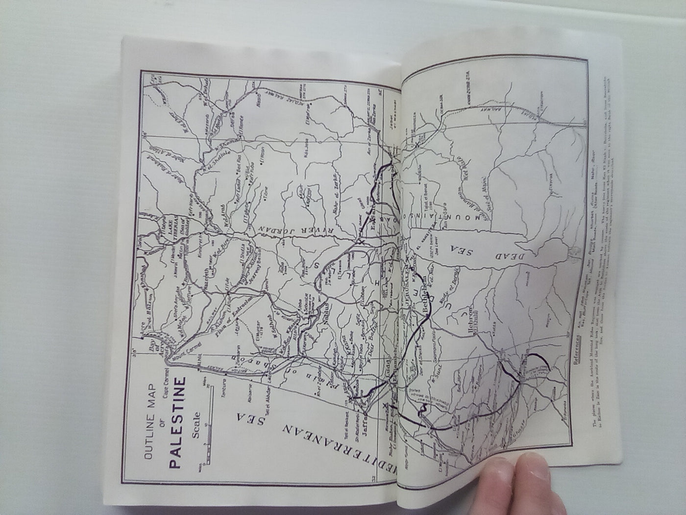 The Story of Two Campaigns - the Auckland Mounted Rifles 1914-1919