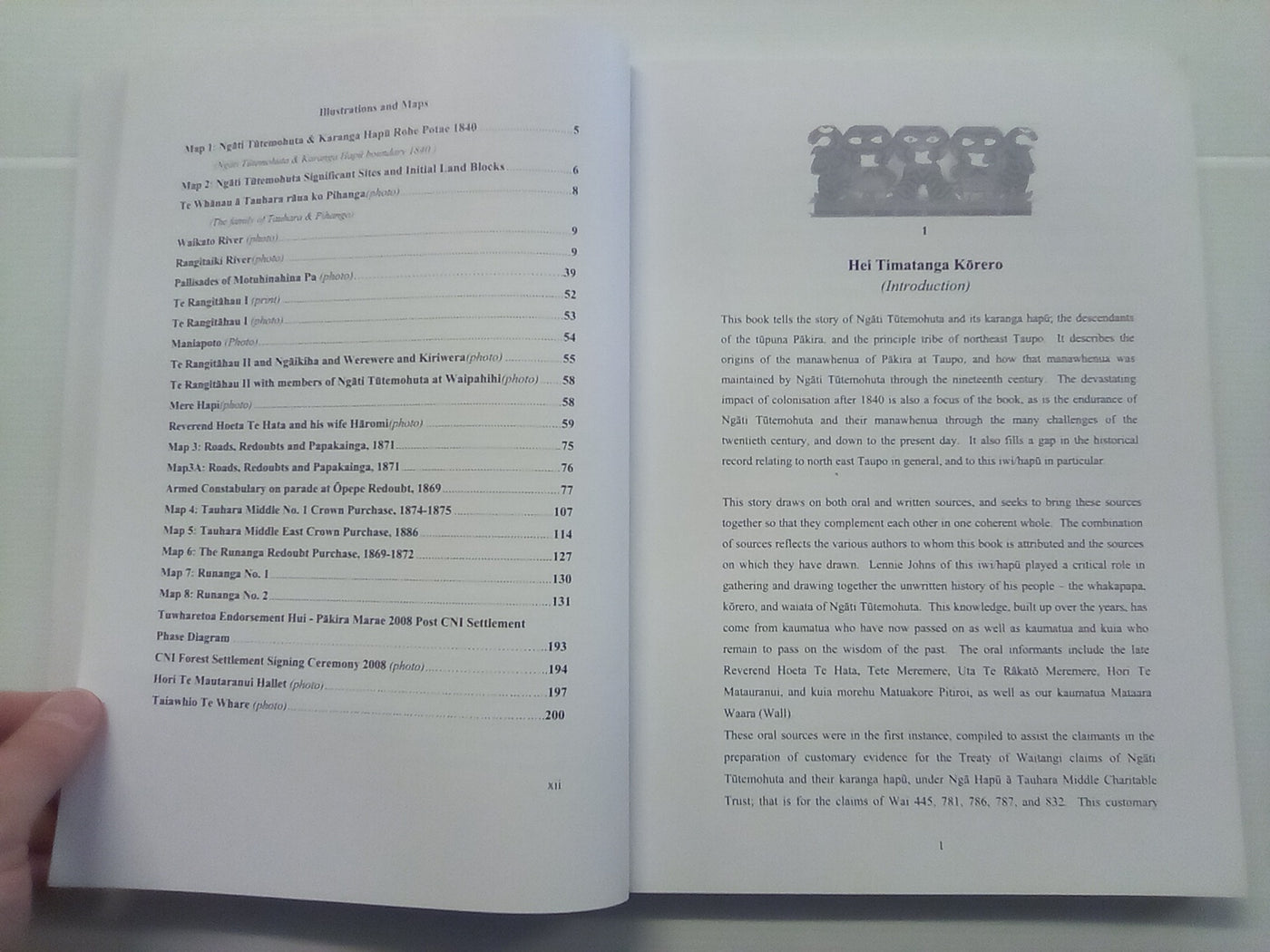 Ngāti Tutemohuta - A Māori History of Northeast Taupo by M. Wall, B. Stirling, and L. Johns