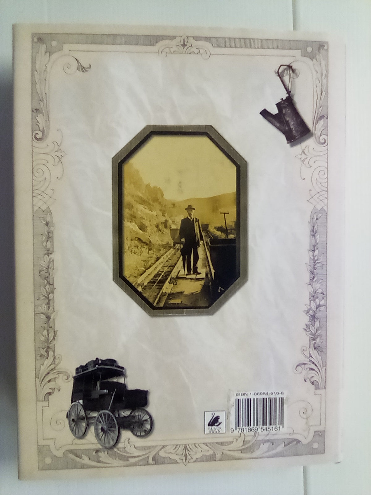 The Illustrated Denniston Rose & Heart of Coal by Jenny Pattrick