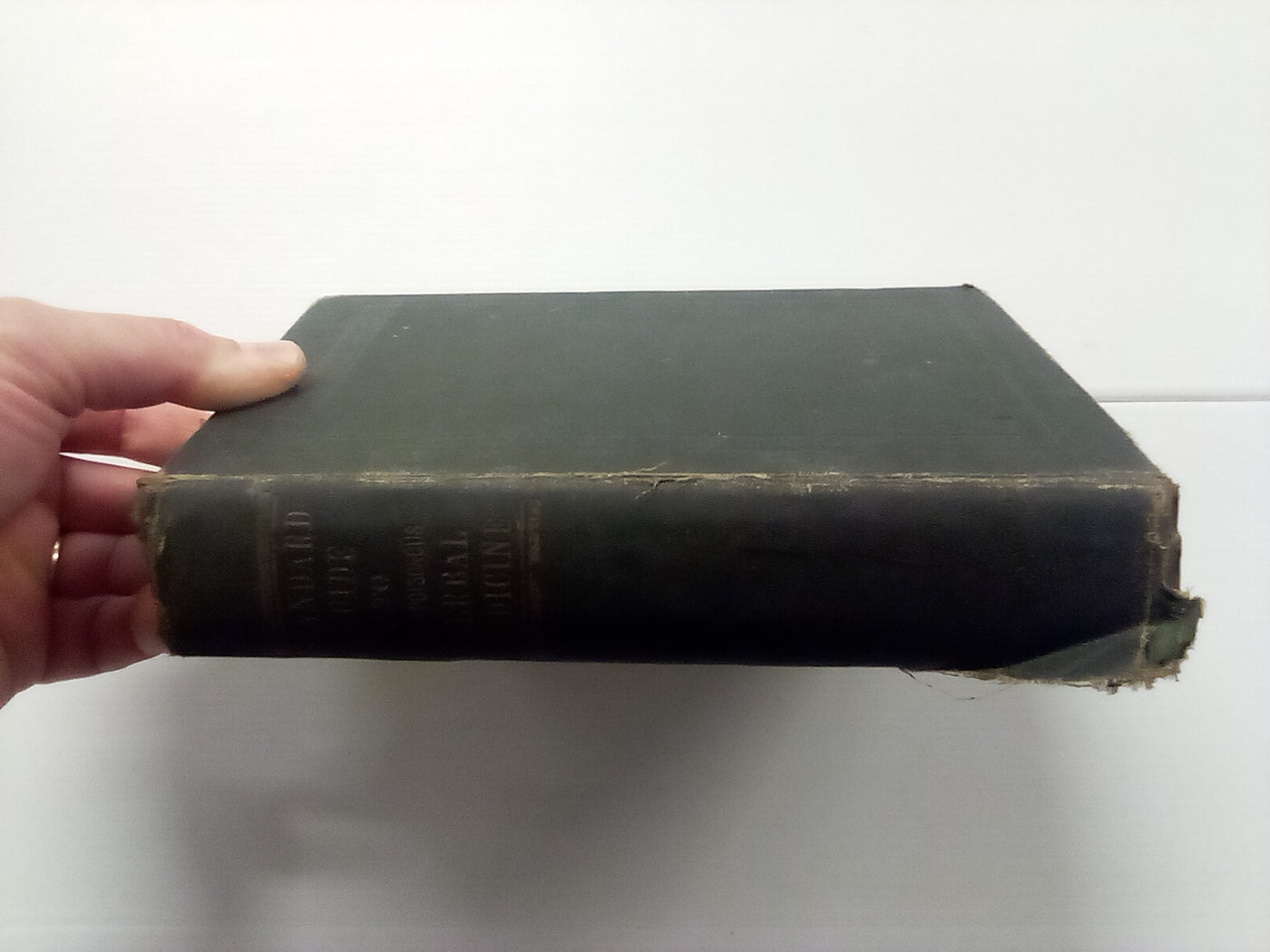 Standard Guide to Non-Poisonous Herbal Medicine (1916)