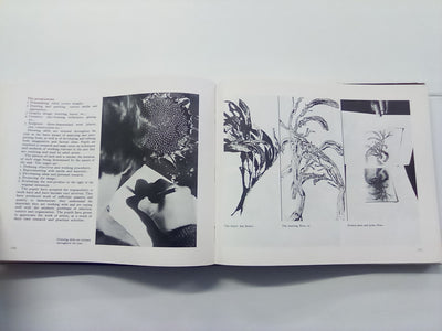 Art in Schools - The New Zealand Experience (1978)