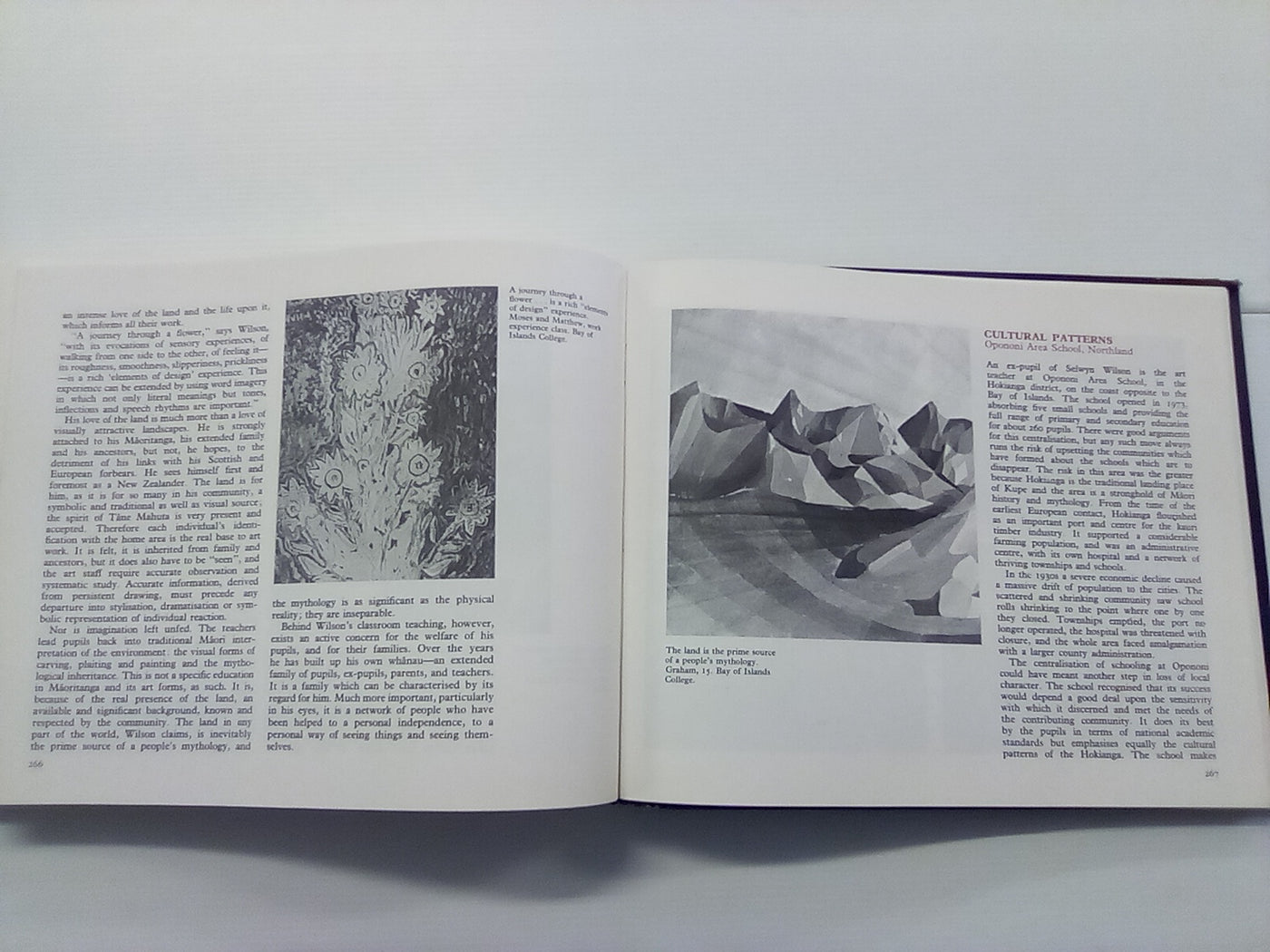 Art in Schools - The New Zealand Experience (1978)