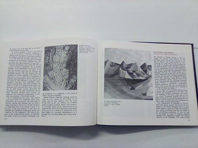 Art in Schools - The New Zealand Experience (1978)
