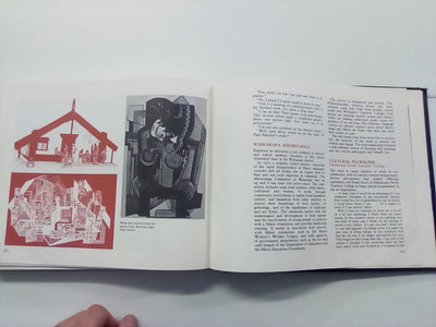 Art in Schools - The New Zealand Experience (1978)