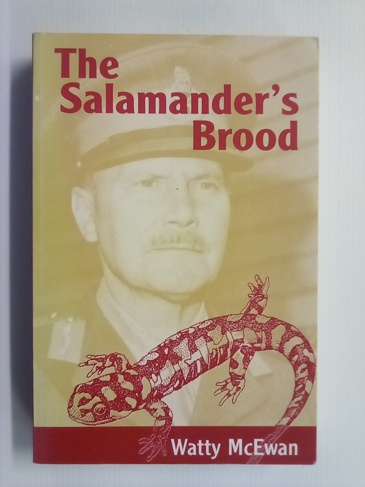 The Salamander's Brood (Freyberg) by Watty McEwan