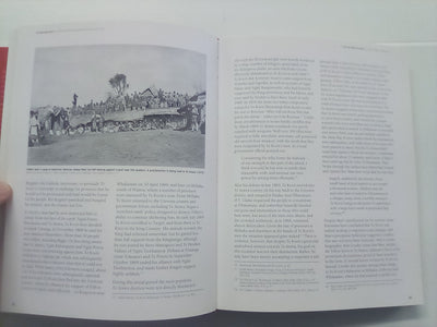The Beating Heart: A Political and Socio-economic History of Te Arawa