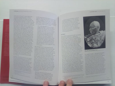 The Beating Heart: A Political and Socio-economic History of Te Arawa