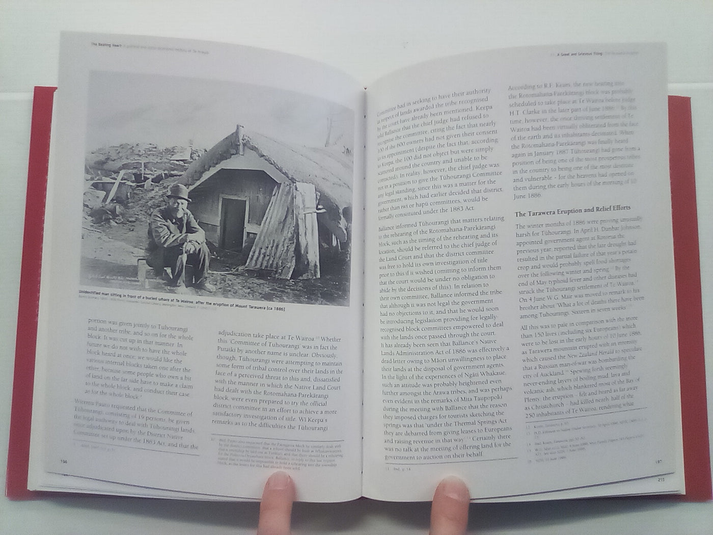 The Beating Heart: A Political and Socio-economic History of Te Arawa
