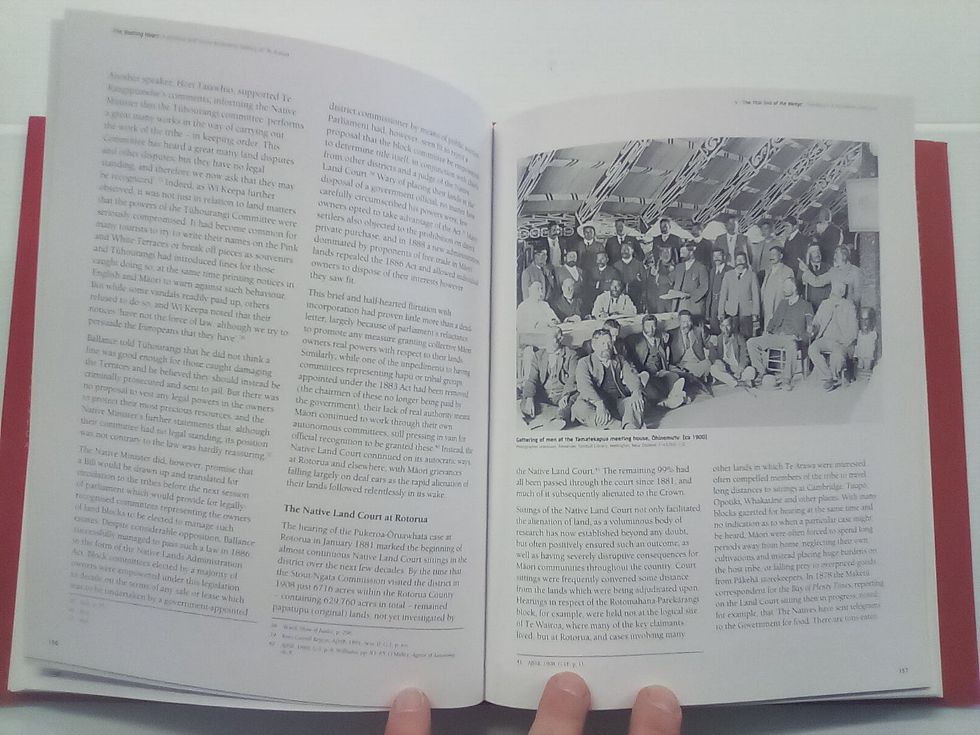 The Beating Heart: A Political and Socio-economic History of Te Arawa
