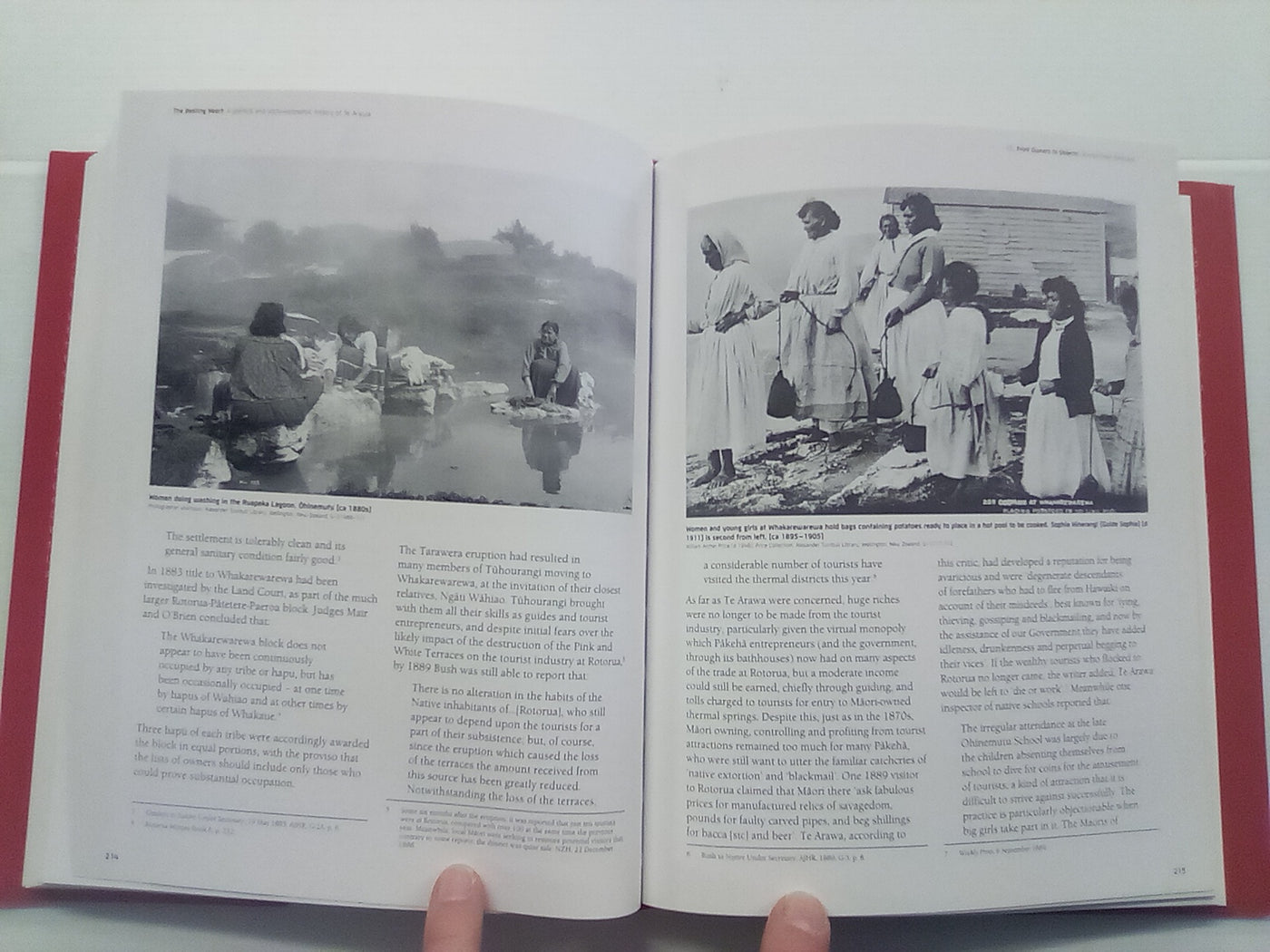 The Beating Heart: A Political and Socio-economic History of Te Arawa