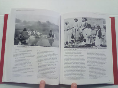 The Beating Heart: A Political and Socio-economic History of Te Arawa