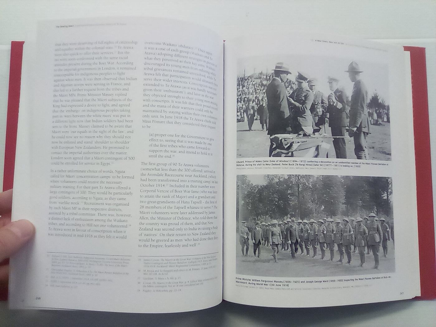 The Beating Heart: A Political and Socio-economic History of Te Arawa