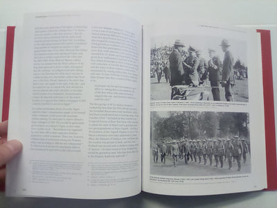 The Beating Heart: A Political and Socio-economic History of Te Arawa