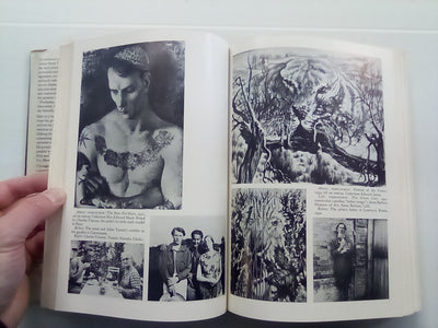 The Divine Comedy of Pavel Tchelitchew - A Biography by Parker Tyler