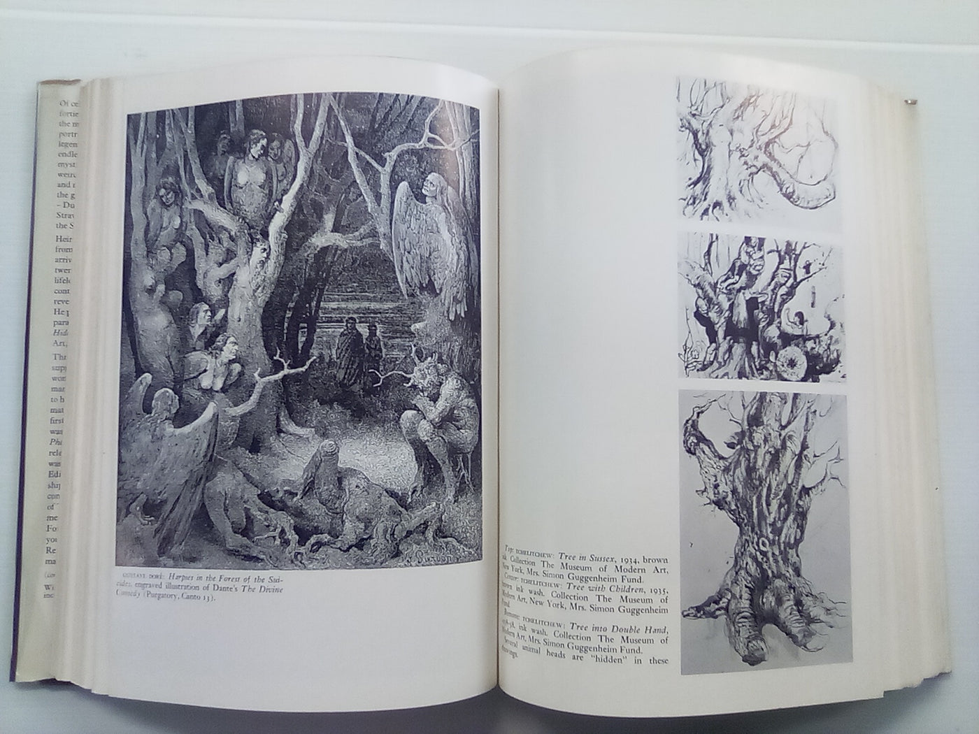 The Divine Comedy of Pavel Tchelitchew - A Biography by Parker Tyler
