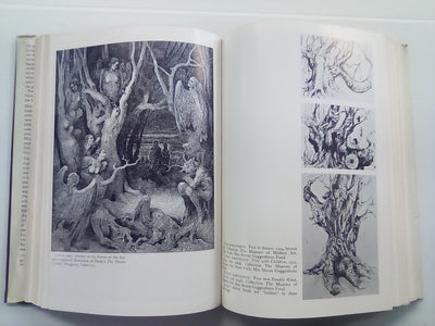 The Divine Comedy of Pavel Tchelitchew - A Biography by Parker Tyler