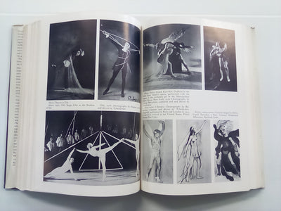 The Divine Comedy of Pavel Tchelitchew - A Biography by Parker Tyler